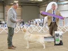 KB019787-(ZF-4964-53868-1-001) (1)