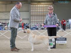 KB019431-(ZF-0794-36061-1-001) (1)